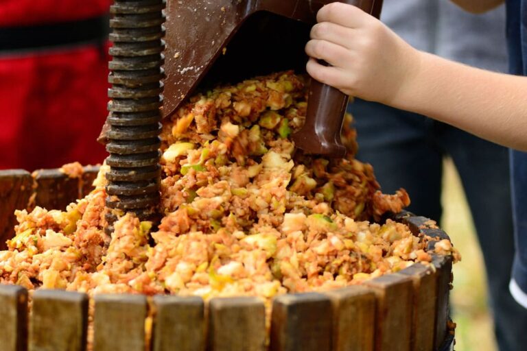 presse de pommes à la cidrerie
